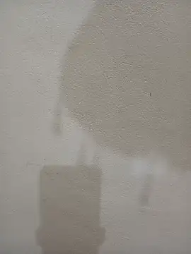 Tanha18 现场XXX聊天