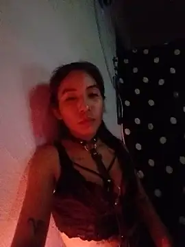 Chat XXX ao vivo de RandalHot