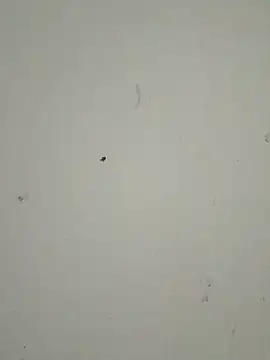 عرض كام yammyisgooning