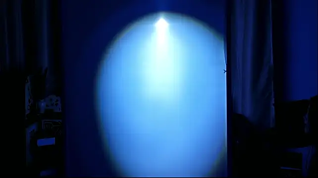 Serendipity-01 Live XXX-chat