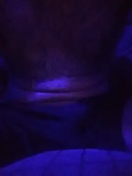 Show Webcam de Kerryflon