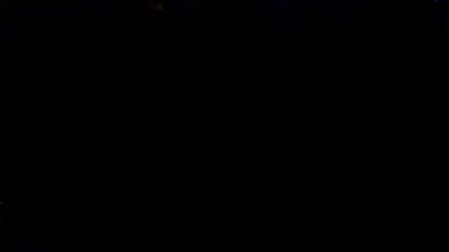 Show webcam de Werg9998