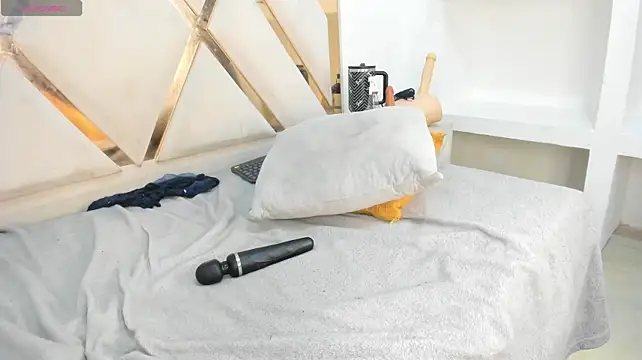 צ'אט XXX בשידור חי של mitch_asm