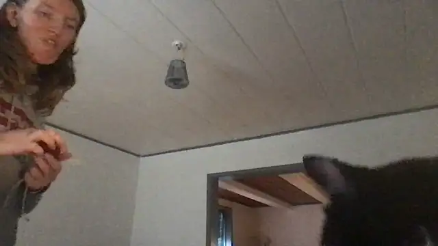 Chat XXX en directo de Kittymarlene