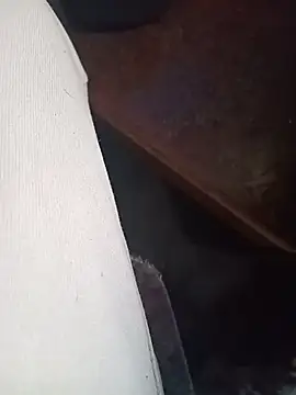 WiseDi 现场XXX聊天