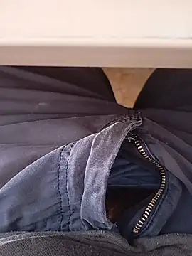 Puta699n Webbikameraesitys