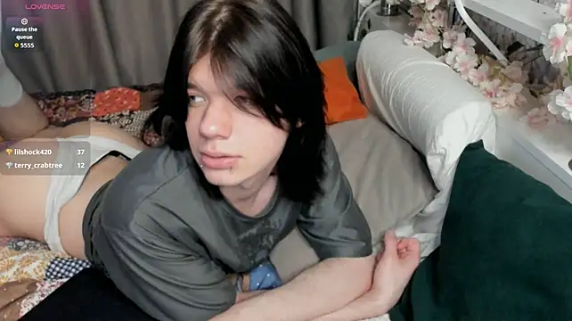 softcollision Live XXX-Chat