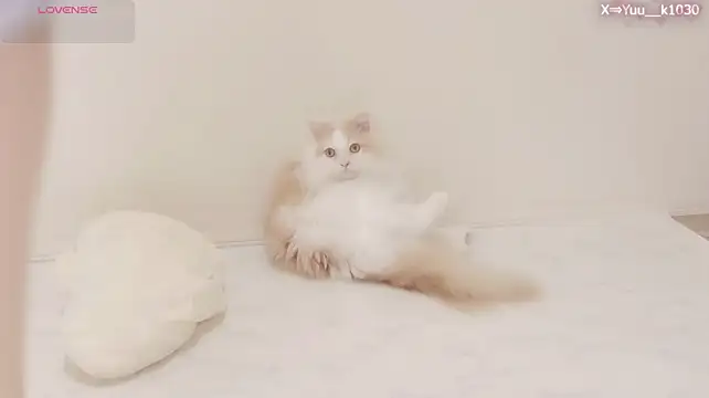 Yuu__k 웹캠 쇼