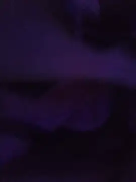 Webkamerová show CHICOYTRANS