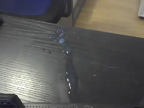 Show de vogonche na webcam