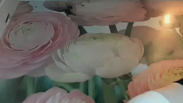 Czat XXX na żywo – RosyFoxy