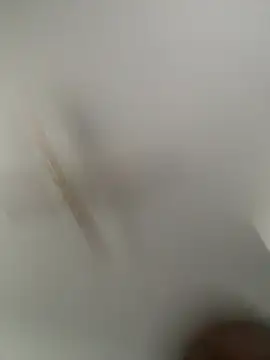 Bcburris550's Webcam Show