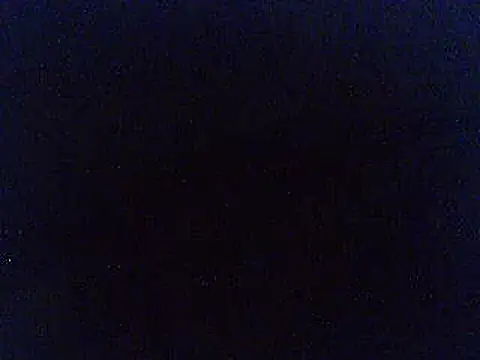 pietje1991n Live XXX chat