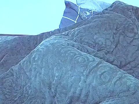 צ'אט XXX בשידור חי של SurXperience