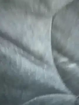 SnugPreceptn Webbikameraesitys
