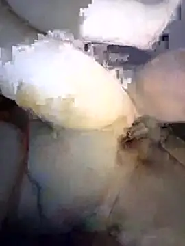 Floriwe Webcam-Show
