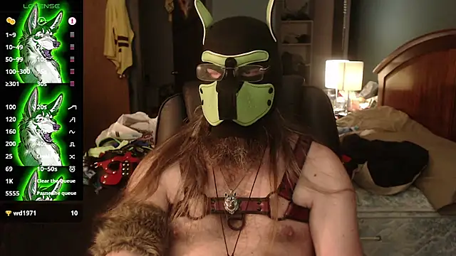 kinkywolf429 élő XXX-chatje