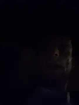 Mikemilflover 现场XXX聊天