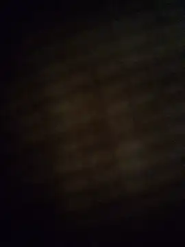 gonzalitoC4 Webcam Show