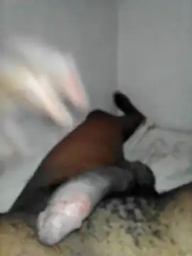 Boteke_'s Webcam Show
