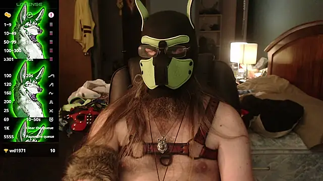 kinkywolf429 现场XXX聊天