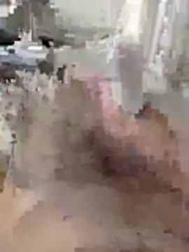 foititisgreek live XXX chat