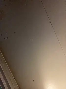 bcthebest Live XXX-chat