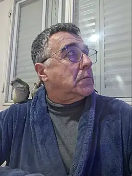 darialmas Live XXX-chat