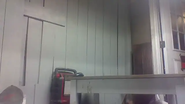Show Webcam de dickencidr