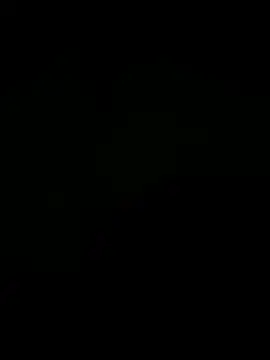 Вебкам-шоу HUMANTHING