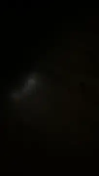 69Lajla Webcamshow