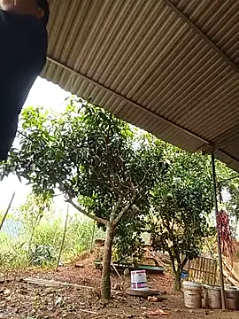 Jinli_01 现场XXX聊天