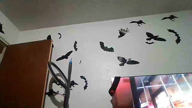 Chat XXX en directo de ThorsonFreja