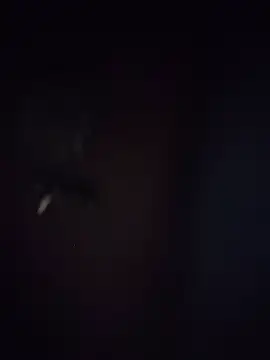 Cataleya_16 লাইভ XXX চ্যাট