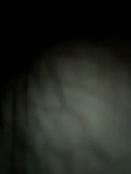 Fjcos Pertunjukan Webcam