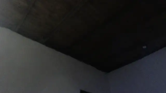 ROOKERT Live XXX Chat