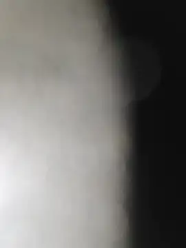 SonicStrip11 Webcam show