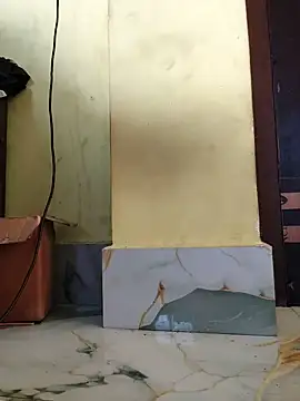 Minakshi-Gi's Webcam Show