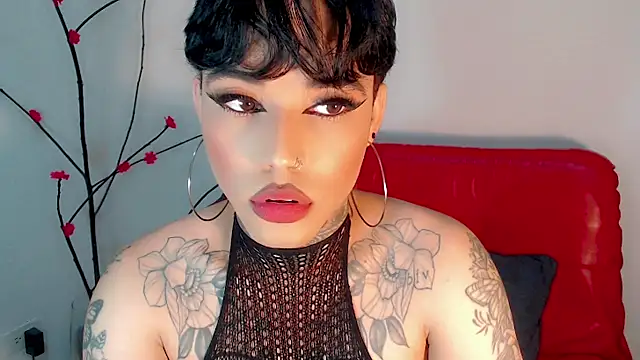 little_star_porn Live XXX Chat