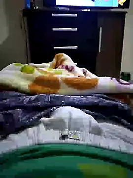 Show de Gallanttrox na webcam