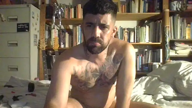 Alfiebangs live XXX chat