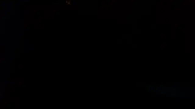 Werg9998のウェブカメラショー