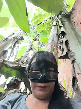 Pussy-xx Live XXX-chat