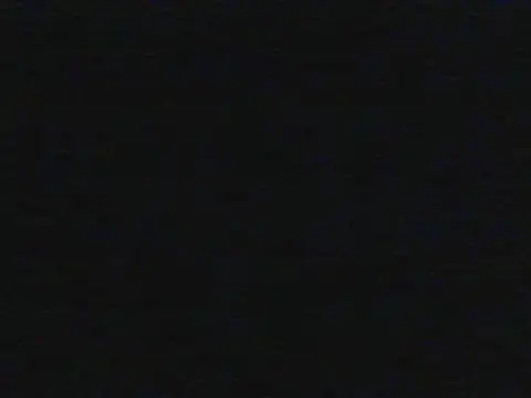 shugabaibe Chat XXX live