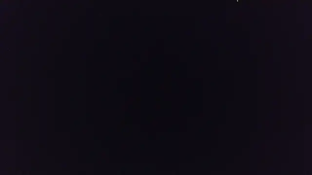 bigshh8's Live XXX Chat