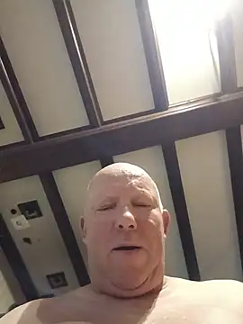 Tomsskyyn Webbikameraesitys