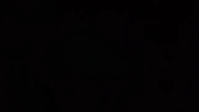 kotkite Webcam-Show