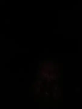 zesv Webcamshow