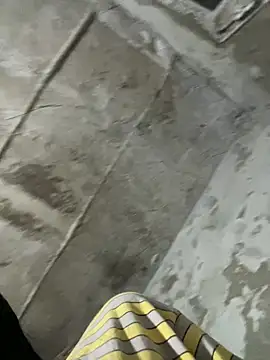 Spying_bird ওয়েবক্যাম শো