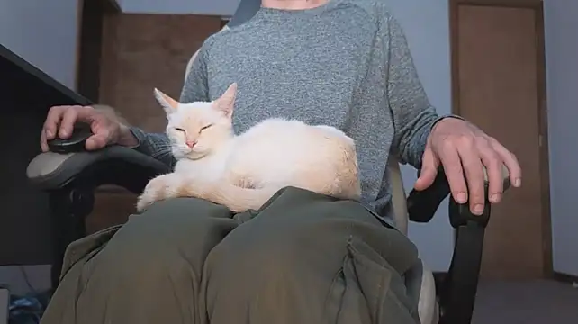 Opondestre00420 现场XXX聊天